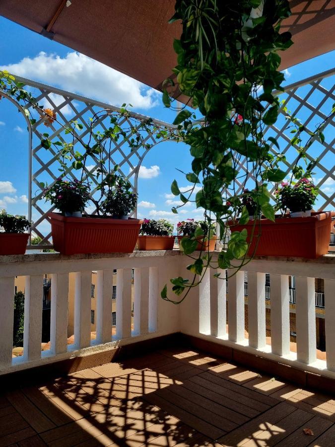 Apartment Carpegna 92 Wellness E