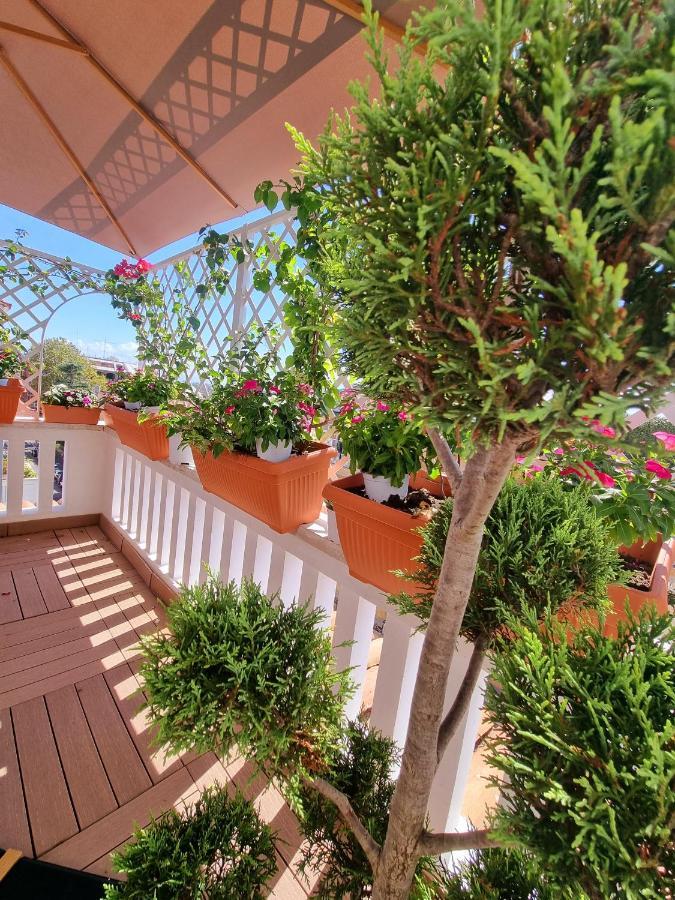 Apartment Carpegna 92 Wellness E Rome